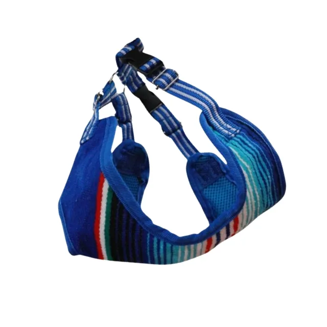 Walking accessories for pets